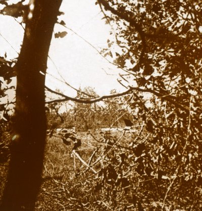 Trincheras alemanas, c1914-c1918 de Unbekannt
