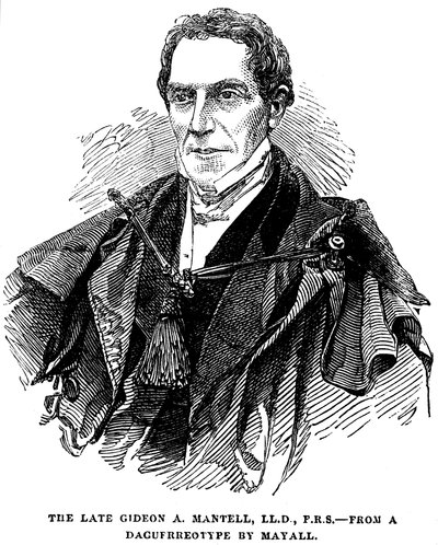 Gideon Algernon Mantell, geólogo inglés, 1852 de Unbekannt