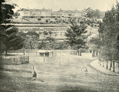 Manicomio de Gladesville, Nueva Gales del Sur, 1901 de Unbekannt