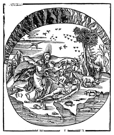 Dios creando a Eva de la costilla de Adán, 1508 de Unbekannt