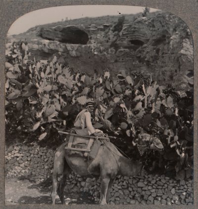 Gólgota El Lugar de la Calavera, c1900 de Unbekannt