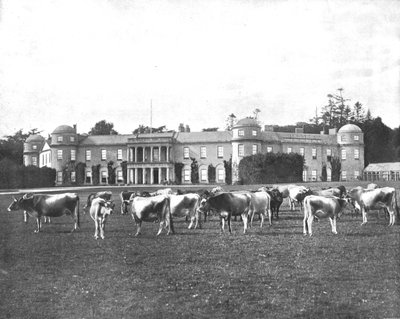 Goodwood, Hampshire de Unbekannt