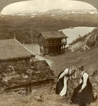 Chismes en una posada en Botten, con vista al lago Voxli - vista hacia las montañas Haukeli, Noruega de Unbekannt
