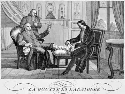 La gota y la araña, c. 1835 de Unbekannt