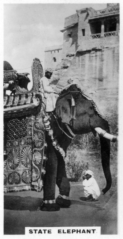 Elefante del gobierno en traje de estado, sur de India, c1925 de Unbekannt