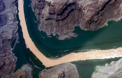 Gran Cañón con el río Colorado, Arizona, EE.UU. de Unbekannt