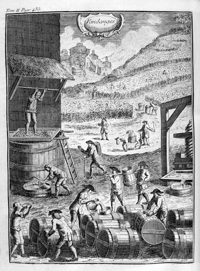 Cosecha de uvas, 1775 de Unbekannt