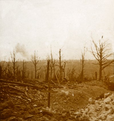 Tumbas y bombardeo, Fleury, Francia, c1914-c1918 de Unbekannt