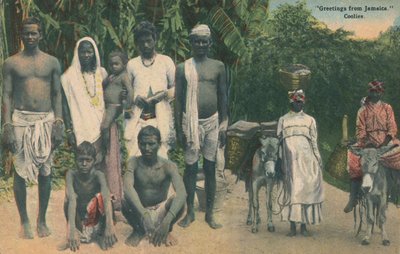 Saludos desde Jamaica. Coolies, principios del siglo XX de Unbekannt