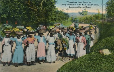 Saludos desde Jamaica. Yendo al mercado con ñames y cañas. Constant Spring Road, 1913 de Unbekannt