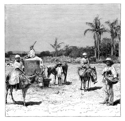 Grupo de haitianos, c. 1890 de Unbekannt