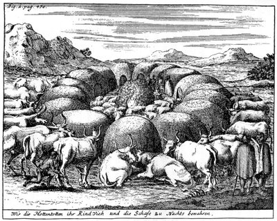 Cuidando ovejas y ganado por la noche, Sudáfrica, siglo XVIII 1931 de Unbekannt
