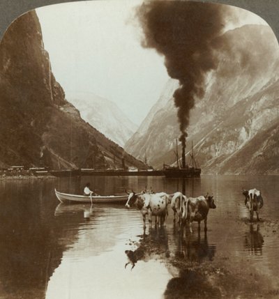 Vista de Gudvangen sobre el Naerofjord donde el mar se adentra entre las montañas, Noruega de Unbekannt