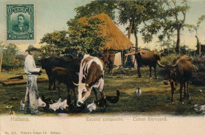 Habana. Escena campestre - Corral cubano, c1910 de Unbekannt