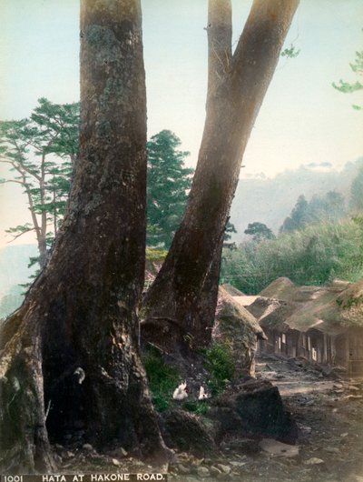 Hata en el camino de Hakone, Japón, principios del siglo XX de Unbekannt