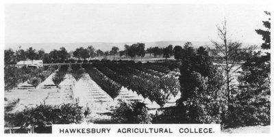 Colegio Agrícola de Hawkesbury, Nueva Gales del Sur, Australia de Unbekannt