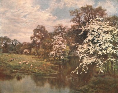 Flores de Espino, c1899, c1902 de Unbekannt