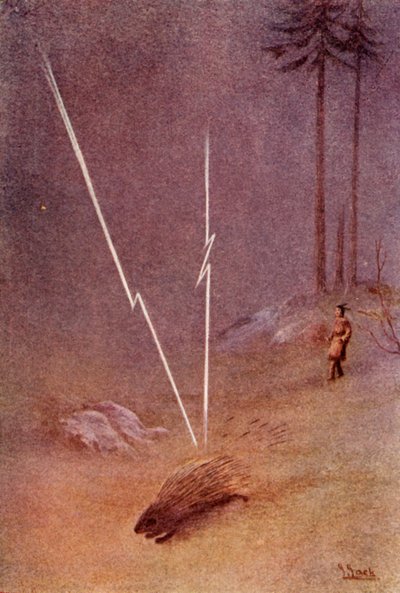 De repente asumió la forma de un puercoespín gigante, 1914 de Unbekannt