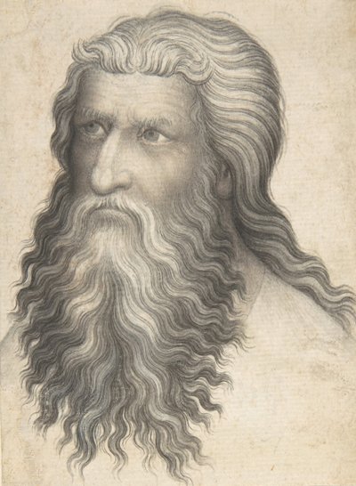 Cabeza de un hombre barbudo, 1360-80 de Unbekannt