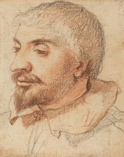 Cabeza de un hombre, c. 1600 de Unbekannt