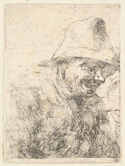 Cabeza de un campesino, siglo XVII de Unbekannt