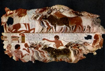 Rebaños de ganado de la época de la XVIII Dinastía, Egipto, c. 1400 a.C. 1936 de Unbekannt