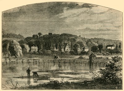 Estanques de Highgate de Unbekannt