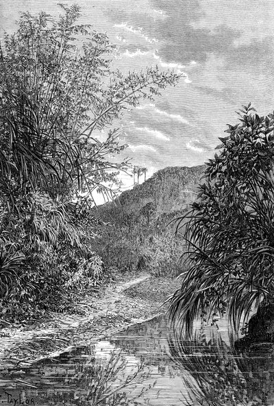 Paisaje montañoso, Formosa, c1890 de Unbekannt