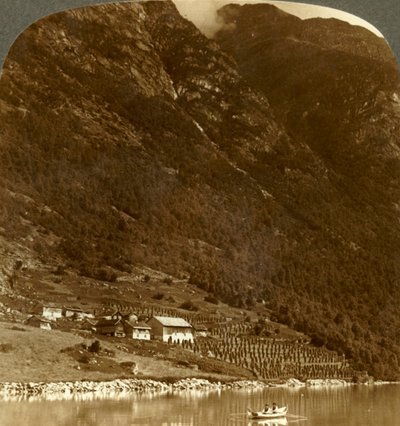 Granja Hogrending, al pie de la montaña, en la orilla este del lago Loen, Noruega, c. 1905 de Unbekannt