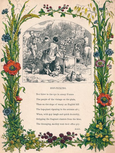 Recolección de lúpulo, c1900 de Unbekannt