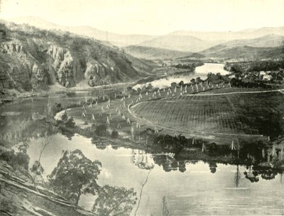 Jardines de lúpulo en Tasmania, 1901 de Unbekannt