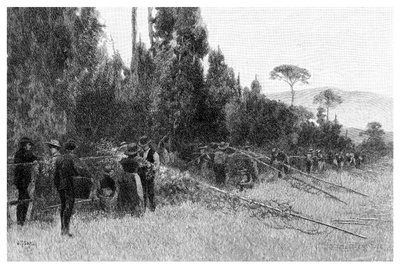 Recolección de lúpulo cerca de Bairnsdale, Australia, 1886 de Unbekannt