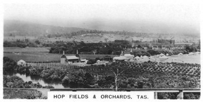 Campos de lúpulo y huertos, Tasmania, Australia, 1928 de Unbekannt