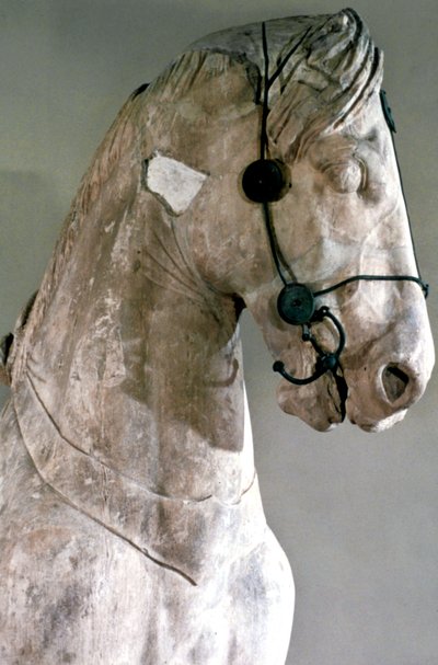 Caballo, Cuadriga del Mausoleo en Halicarnaso, 350 a.C. de Unbekannt