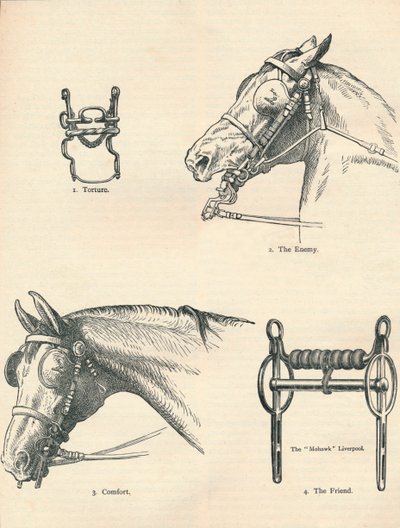 Frenos de caballo, buenos y malos, c1909 c1910 de Unbekannt