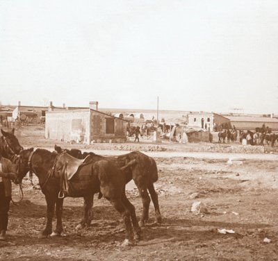 Caballos, Somme-Tourbe, norte de Francia, c1914-c1918 de Unbekannt