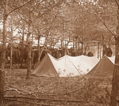 Alojamiento de caballos, Suippes, norte de Francia, c1914-c1918 de Unbekannt