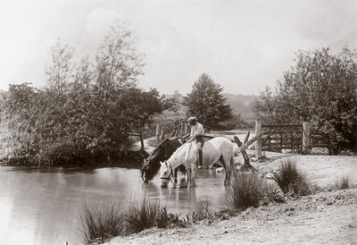 "Caballos bebiendo en el estanque", hacia los años 1890 de Unbekannt