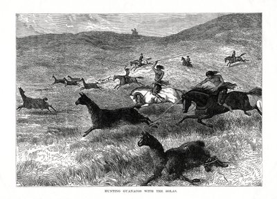 Caza de guanacos con las bolas, Sudamérica, 1877 de Unbekannt