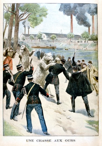 Caza de osos, 1901 de Unbekannt