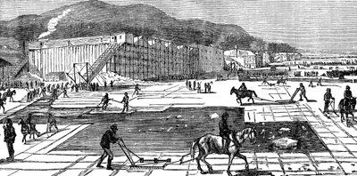 Recolección de hielo en el río Hudson cerca de Nueva York, EE.UU., 1875 de Unbekannt