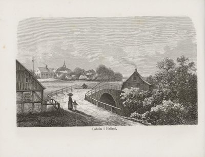 Ilustración del libro Nordiska taflor de autor desconocido y publicado por Albert Bonnier de Unbekannt