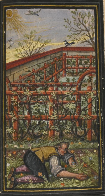 Ilustración para El maravilloso verano de la vida eterna de Jacob Zader, 1603 de Unbekannt