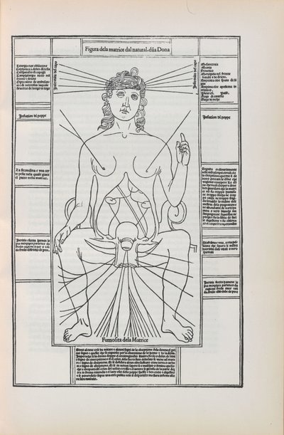Ilustración de Fasciculo di medicina por Johannes de Ketham, 1493 de Unbekannt