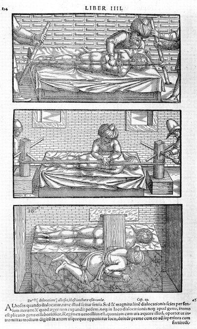 Ilustración del Liber canonis de medicinis cordialibus de Avicena, 1556 de Unbekannt