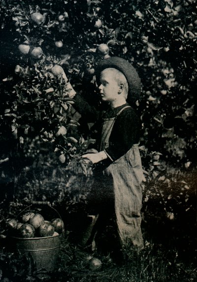 En uno de los huertos fructíferos de Ontario, c. 1934 de Unbekannt