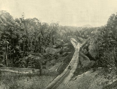 En las Montañas Blackall, 1901 de Unbekannt