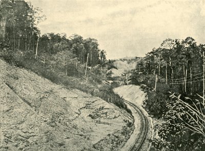 En las Montañas Blackall, 1901 de Unbekannt