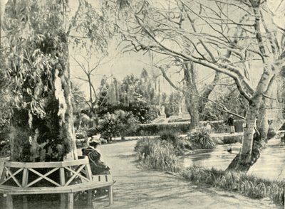 En los Jardines Botánicos, Adelaida, 1901 de Unbekannt