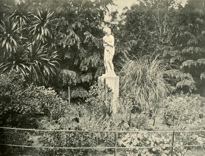 En los Jardines Fitzroy, Melbourne, 1901 de Unbekannt